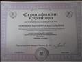 Сертификат куратора  настоящим подтверждает, что успешно организовала и провела Всероссийскую детскую образовательную викторину "Зимние забавы"